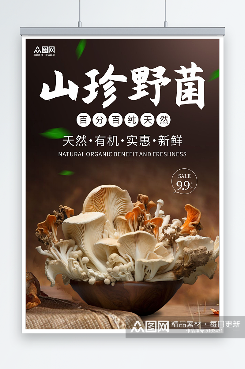 山珍野菌蘑菇菌菇蔬菜海报素材