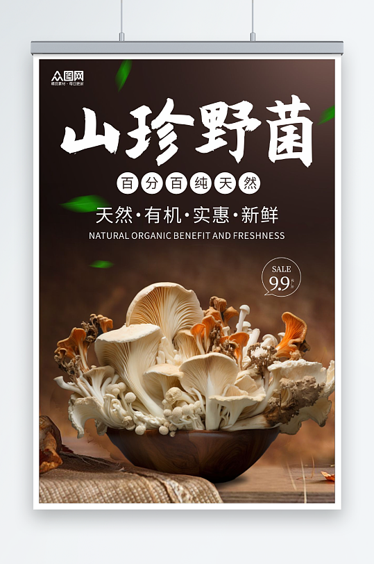 山珍野菌蘑菇菌菇蔬菜海报