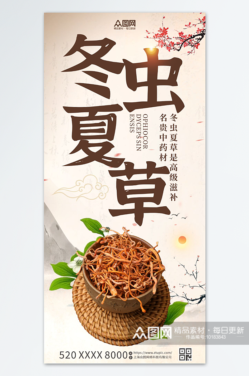 简约冬虫夏草中药药材补品海报素材