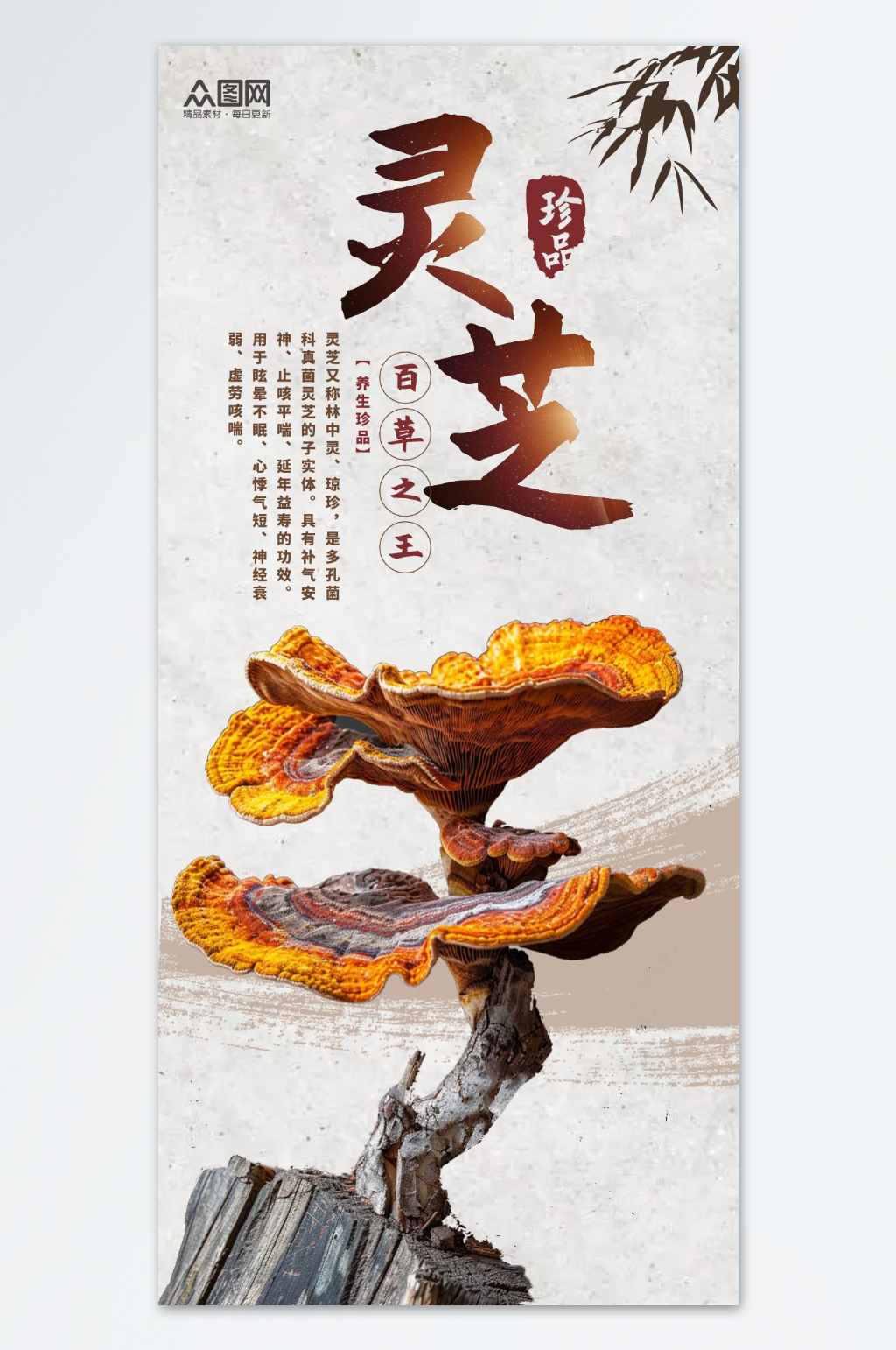 名贵中药材灵芝海报素材