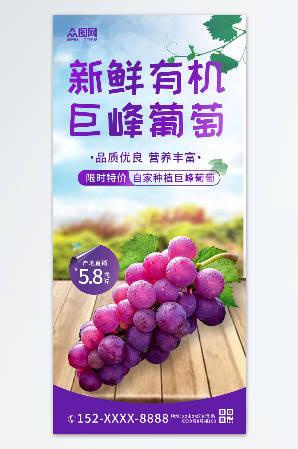新鲜有机巨峰葡萄水果海报素材