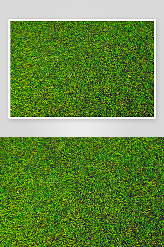 草坪背景纹理花纹素材图片图像
