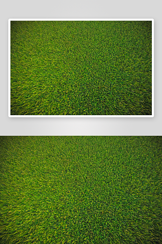 草地纹理花纹素材图像图片