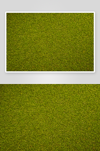 绿草滩背景纹理花纹素材图片图像