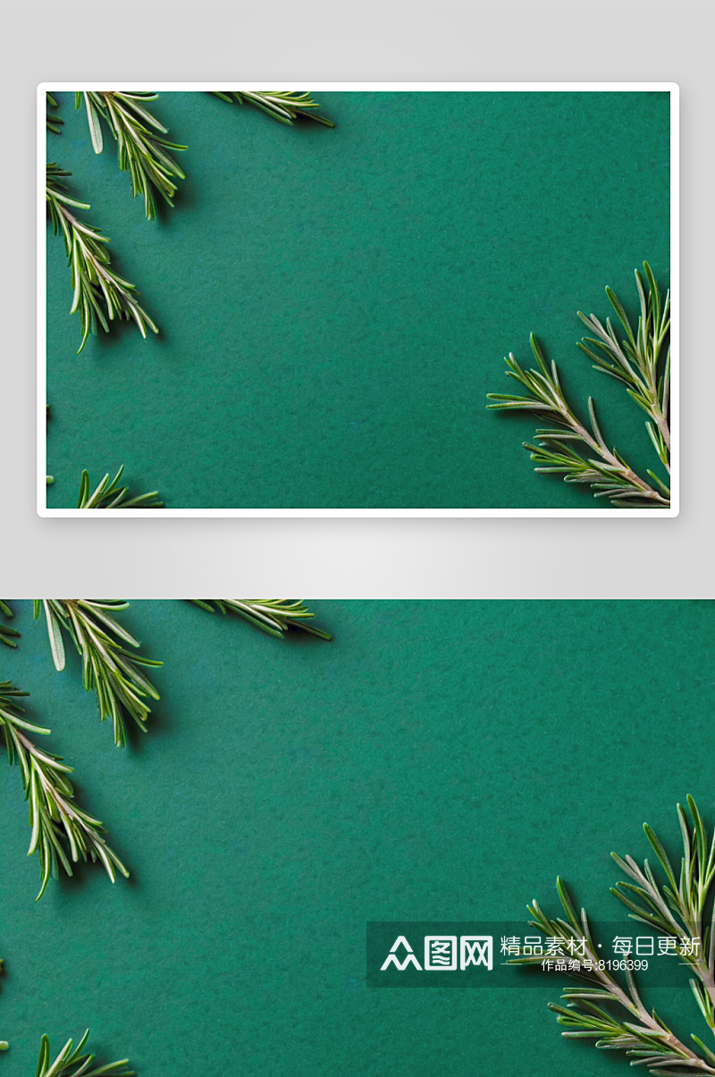 绿色背景纹理花纹素材图片图像素材