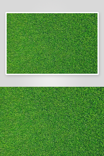 绿草滩背景纹理花纹素材图片图像