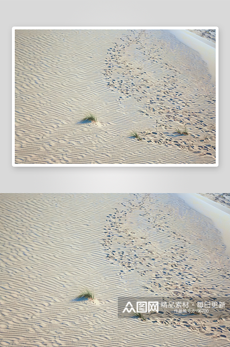 海滩背景纹理花纹素材图片图像素材