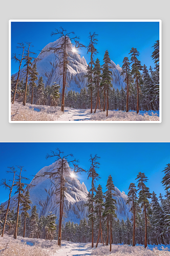 冰雪风景特写摄影高清图像