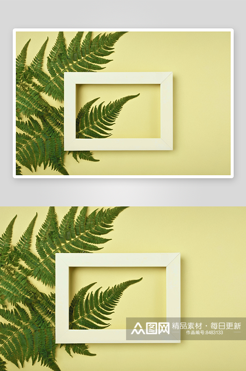 绿色蕨枝相框风景风光高清摄影图像素材