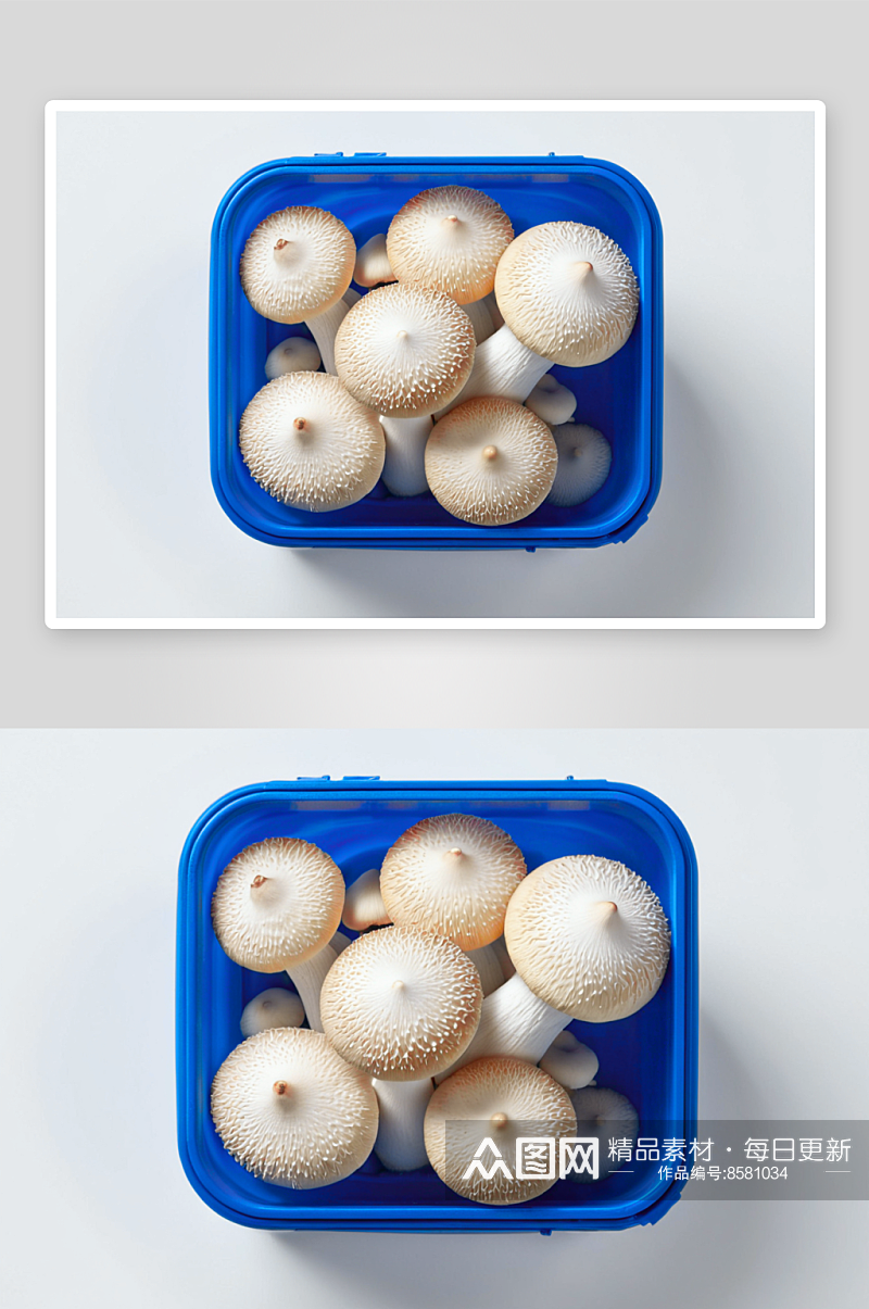 白蘑菇摄影特写素材图片素材