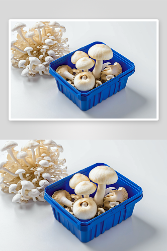白蘑菇摄影特写素材图片
