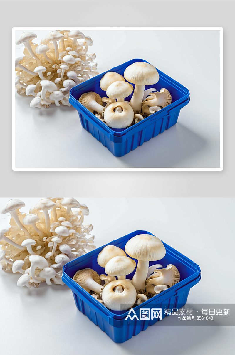 白蘑菇摄影特写素材图片素材