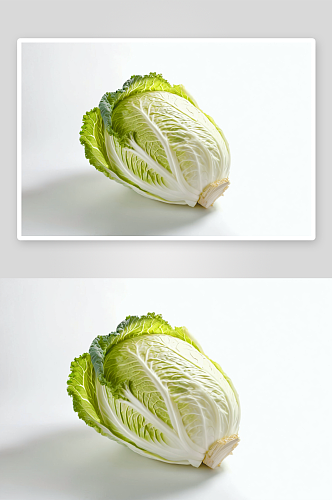 大白菜摄影特写素材图像