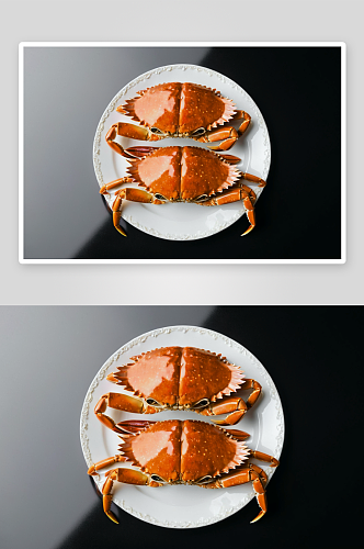 梭子蟹摄影特写素材照片