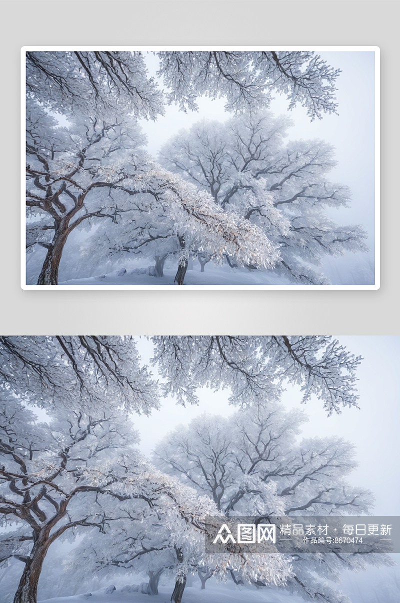 雪树摄影素材图片素材