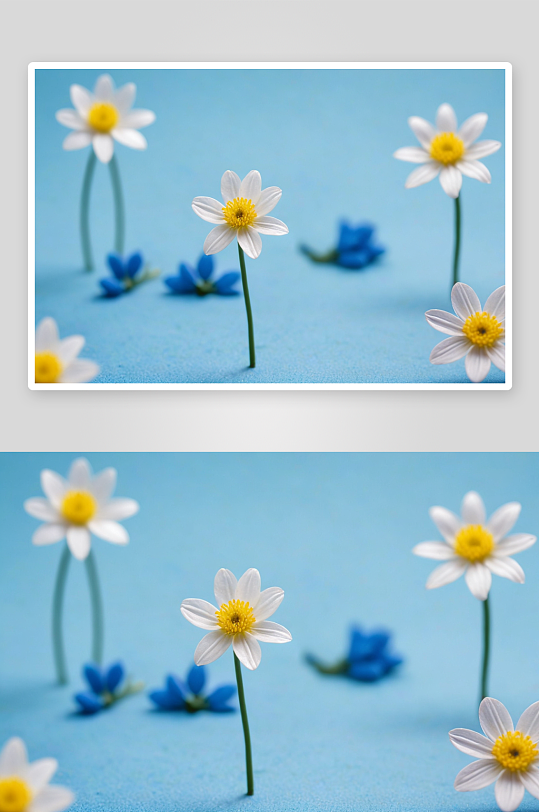 蓝色背景微缩景观春天给花拍照摄影师图片