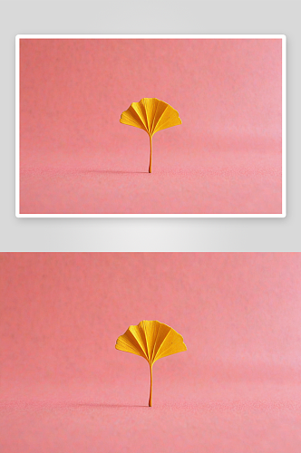 微缩创意金黄色银杏叶树叶特写植物图片