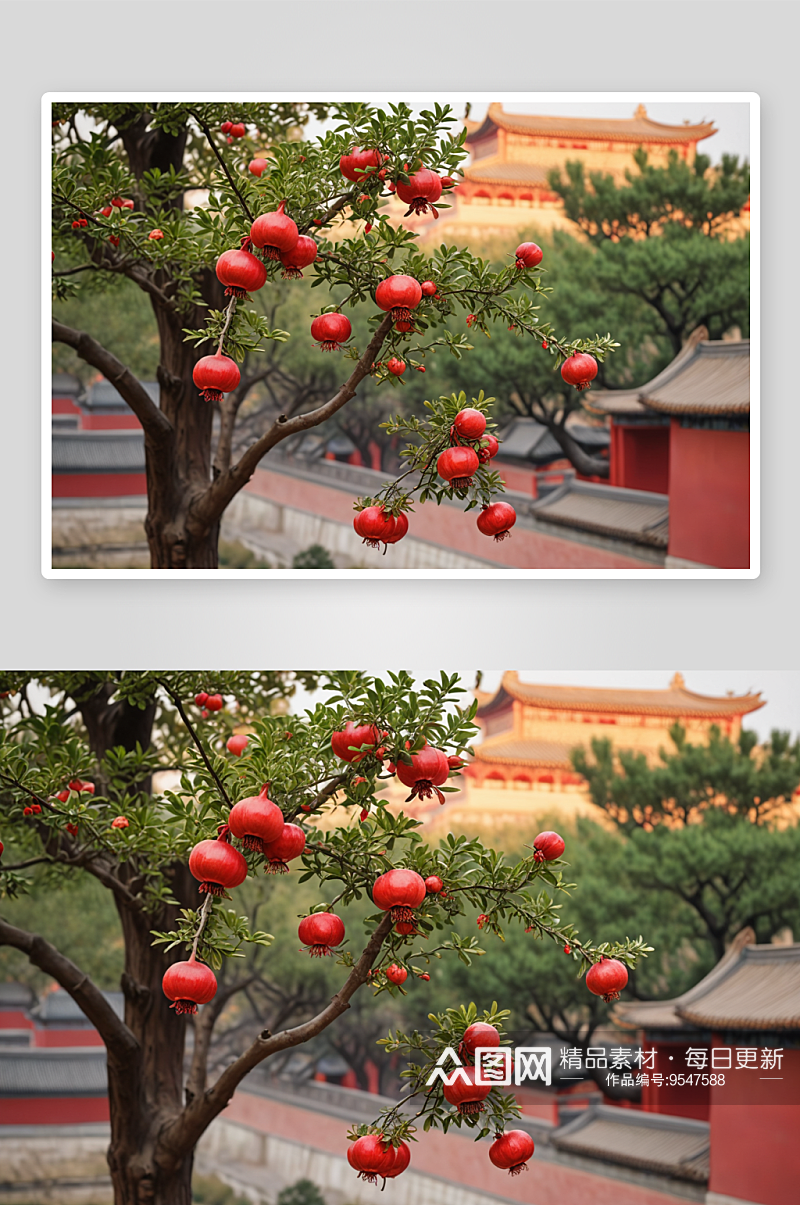 小满时节石榴花开图片素材