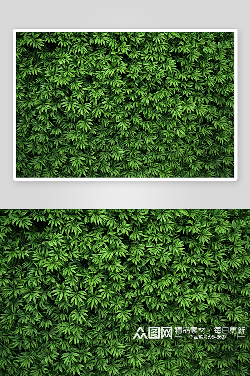 绿植背景图高清特写花卉图片素材