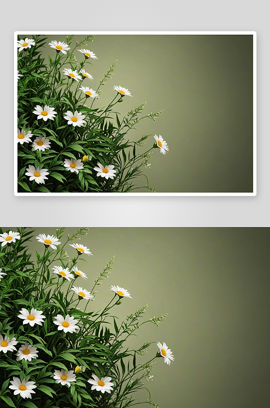夏天植物花朵主题背景素材图片