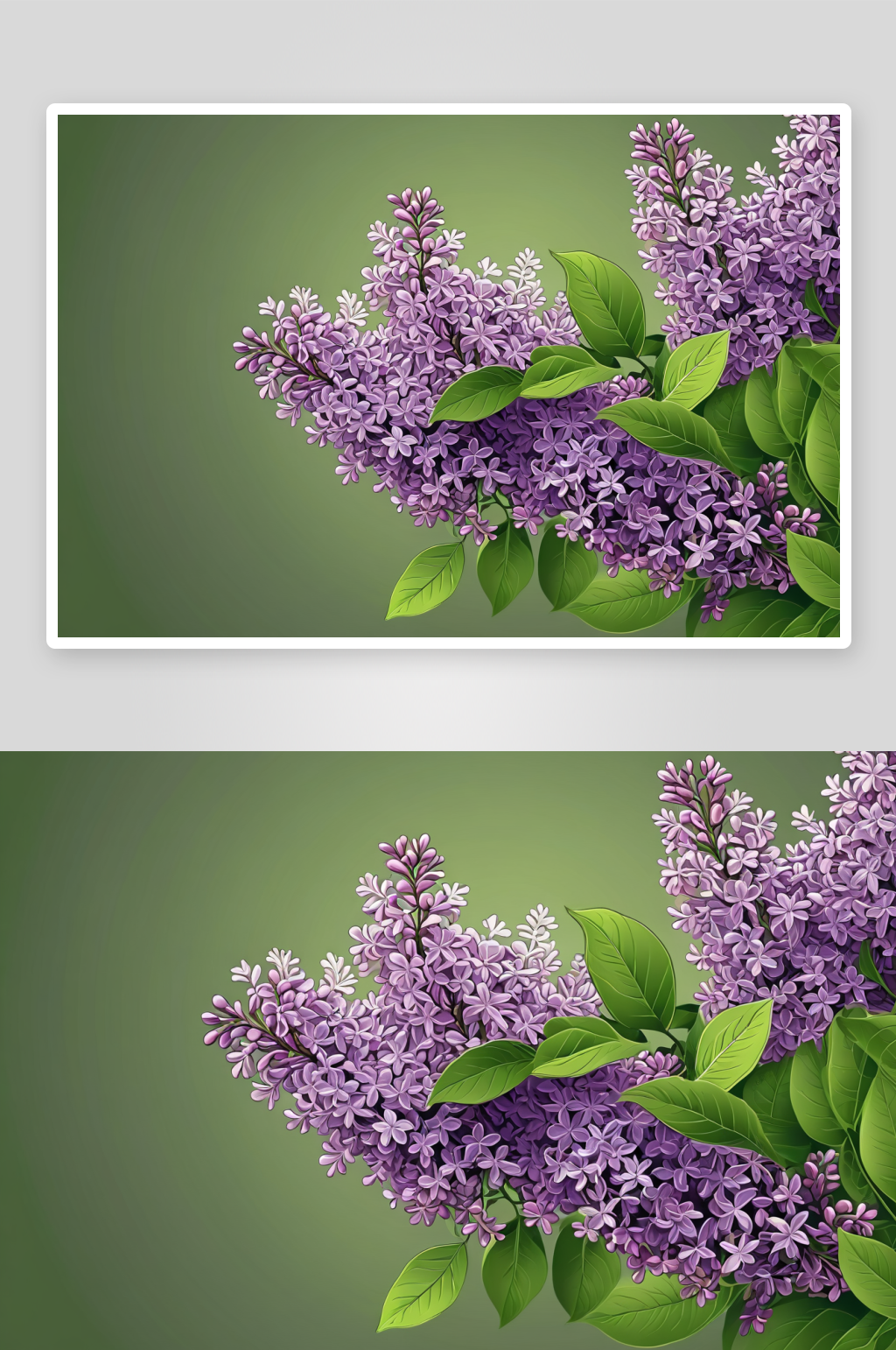 花朵花朵花瓣绿色自然花蕾素材