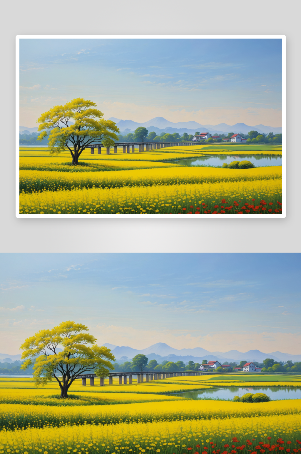 东湖太渔桥油菜花素材
