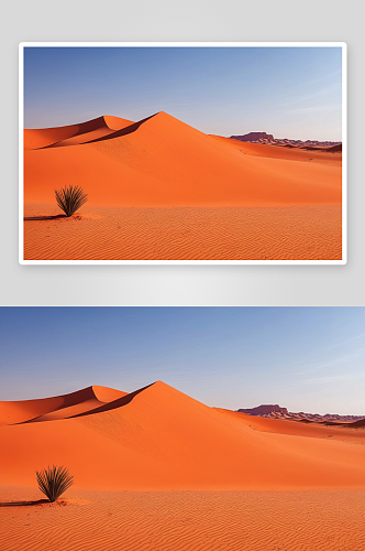 公园沙漠红色沙丘景观图片