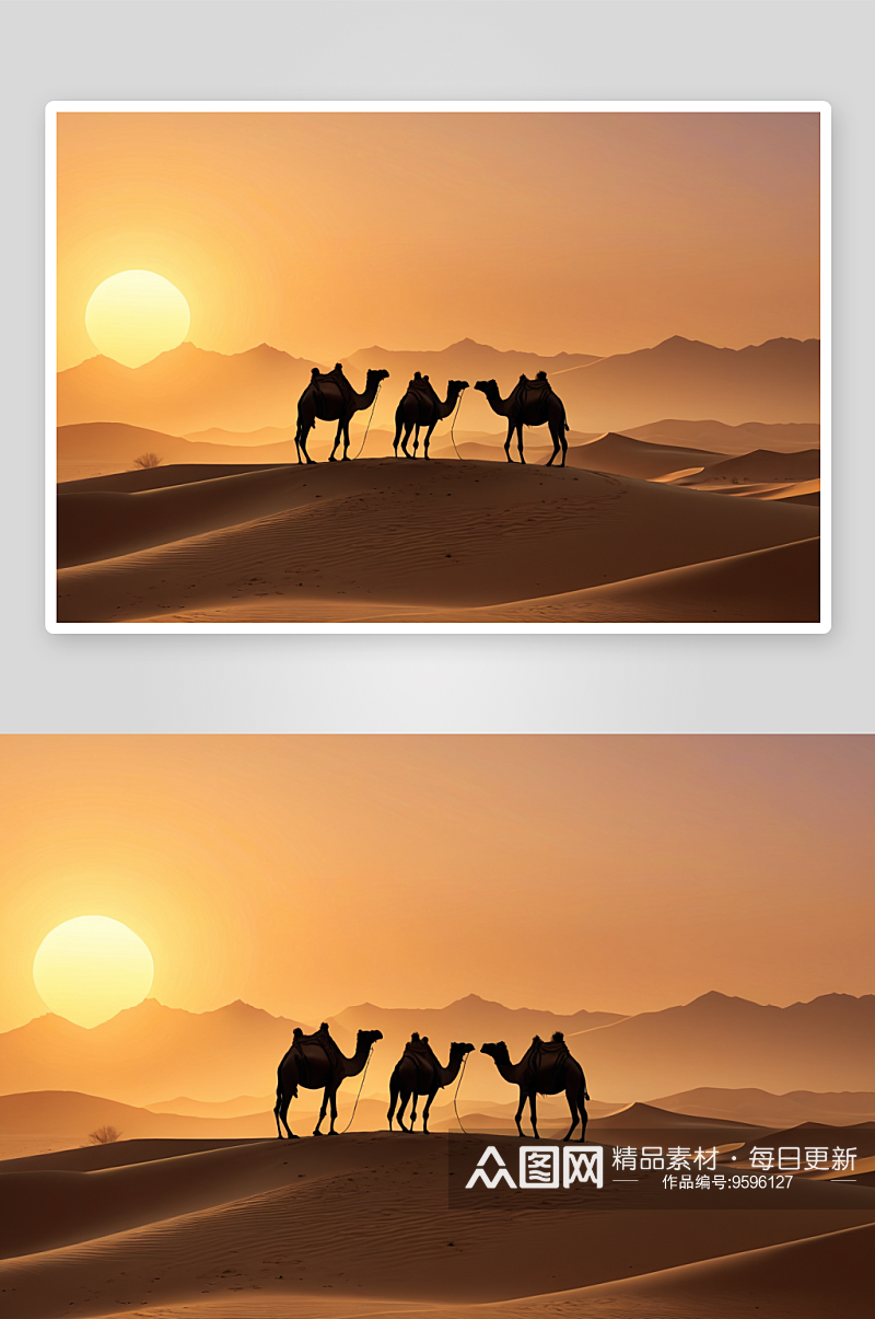 大漠驼队高清特写图片素材