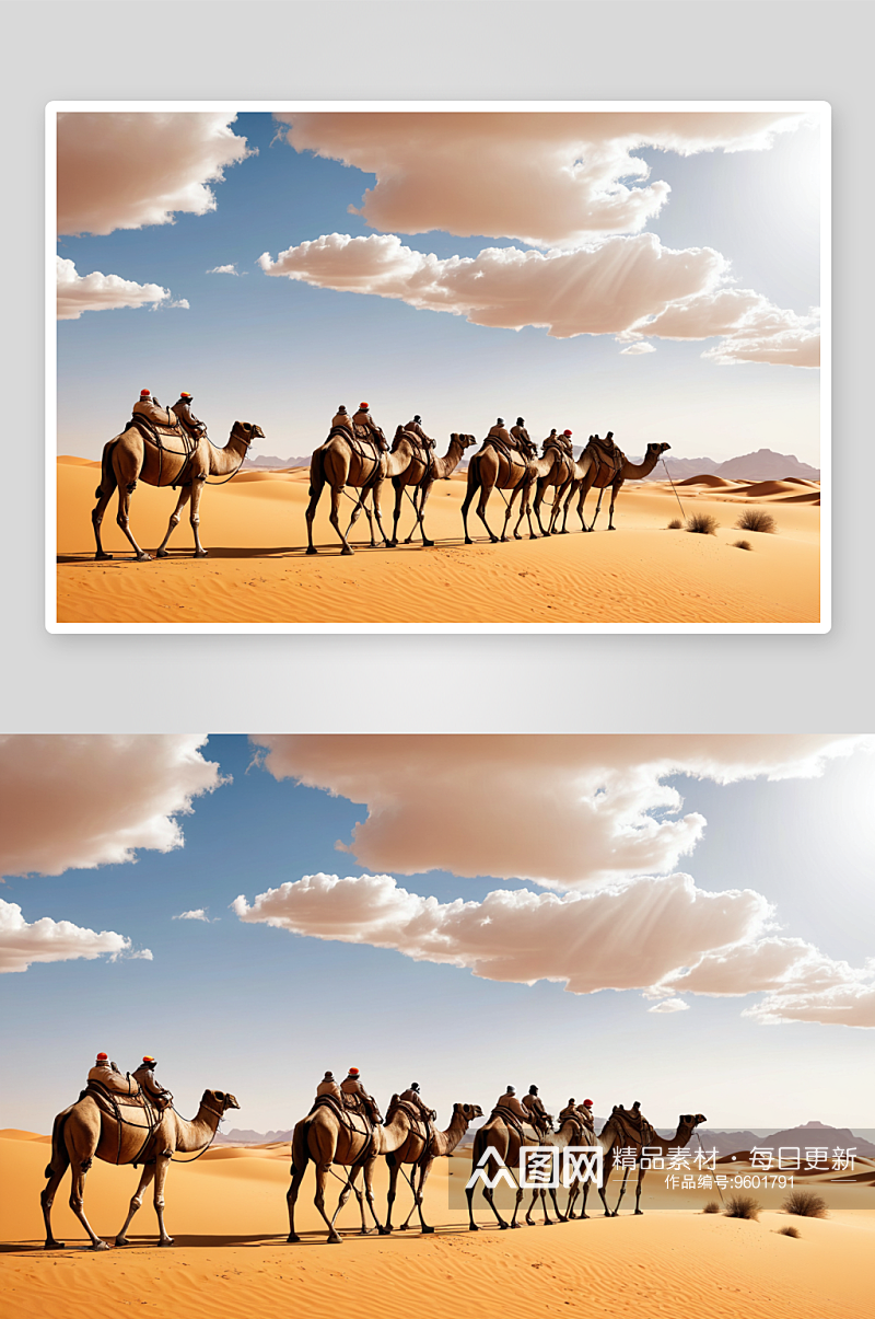 沙漠中驼队高清特写图片素材