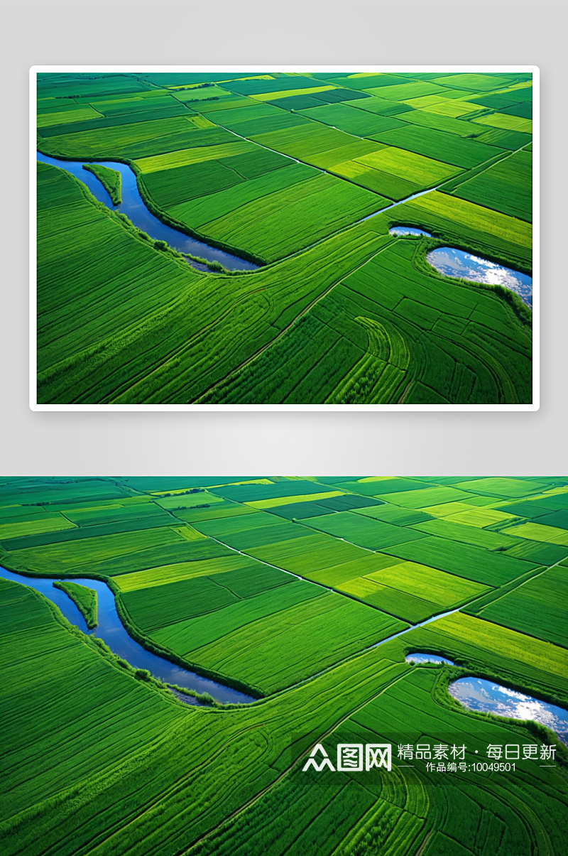 绿色大地小麦田庄稼蜿蜒小河树林图片素材