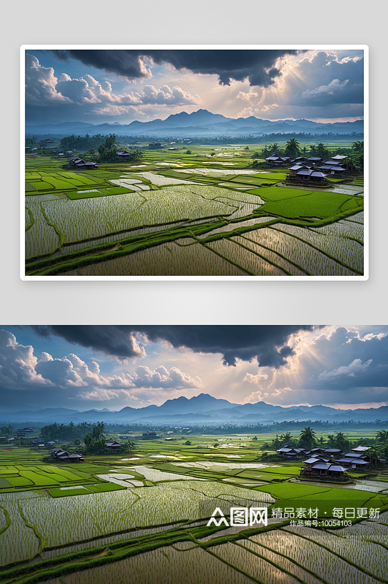 雨季后稻田俯瞰图图片素材