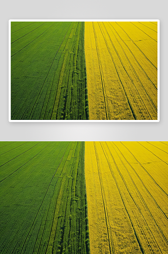 用绿色黄色直线路径划分农田鸟瞰图图片