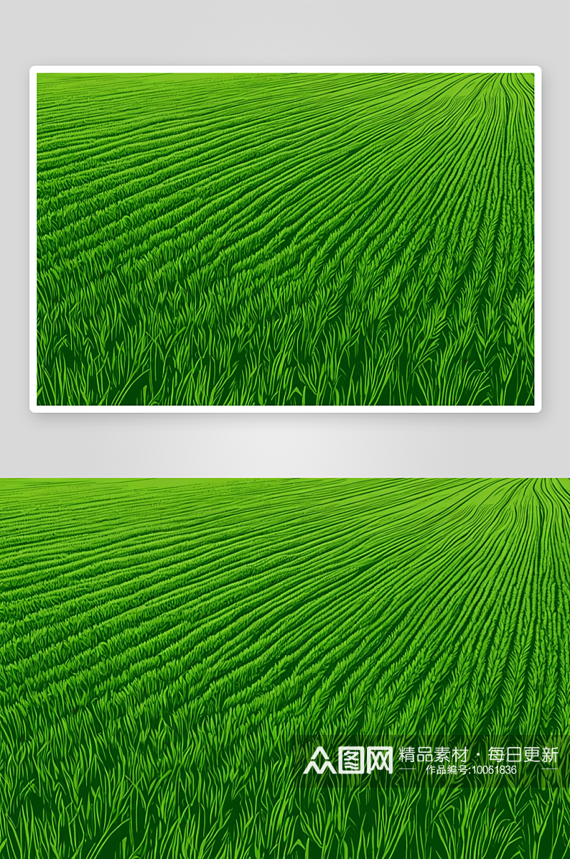 绿色麦田背景农业风景图片素材