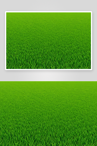 绿色稻田背景农业图片