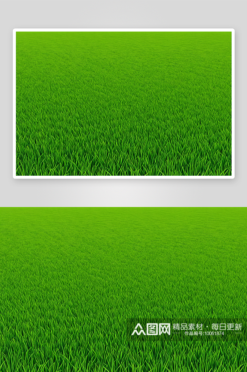 绿色稻田背景农业图片素材