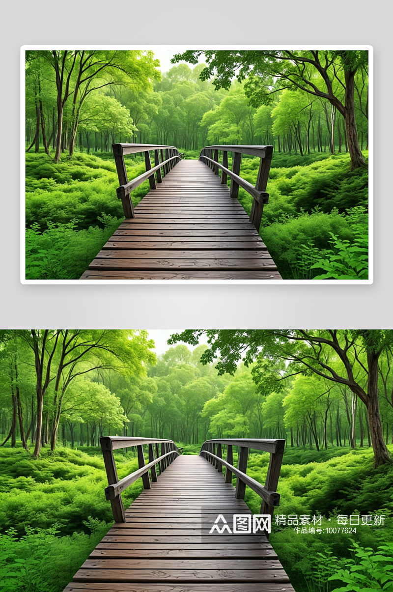 长木桥森林绿树图片素材