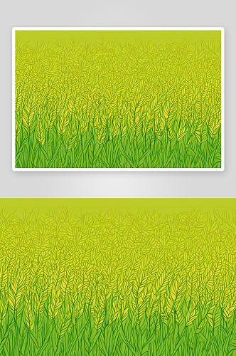 郁郁葱葱稻田绿叶图案背景黄色水稻植株图片