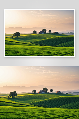 农村景观特写高清图片