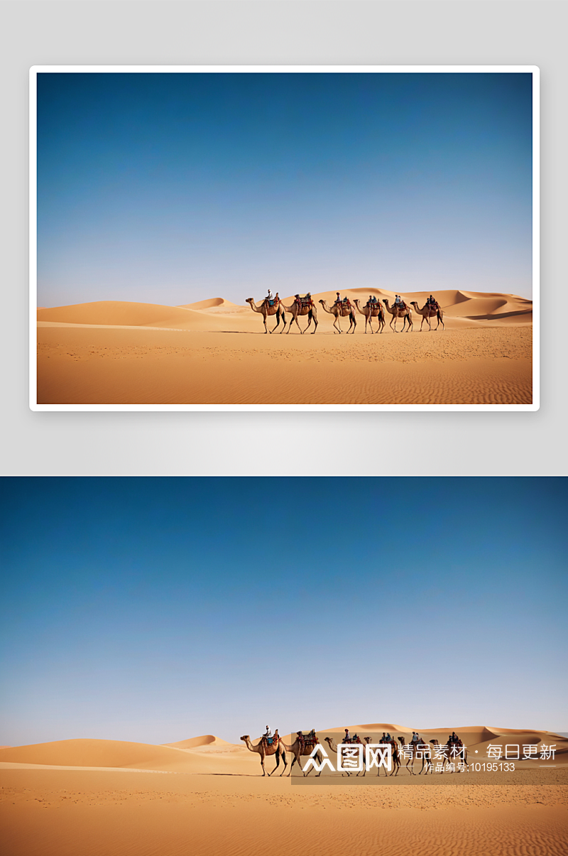 有骆驼沙漠比图片素材
