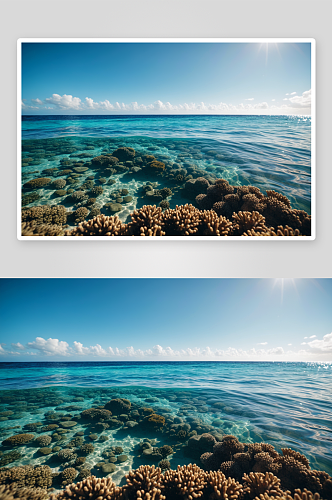 珊瑚海岸阳光明媚一天图片