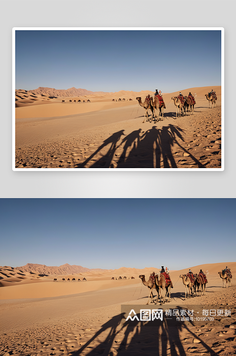 沙漠骆驼商队影子图片素材