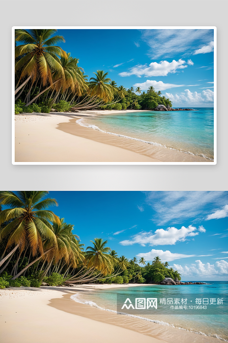 棕榈热带海滩全景斯海滩图片素材