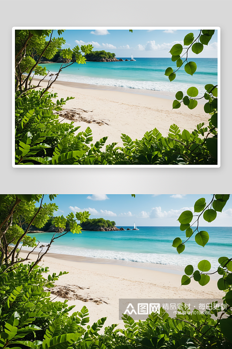 天堂海滩夏季度假氛围框架下绿色树叶图片素材