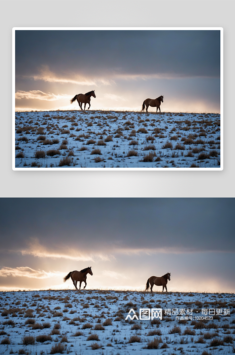 雪地草原骑马牧场主图片素材