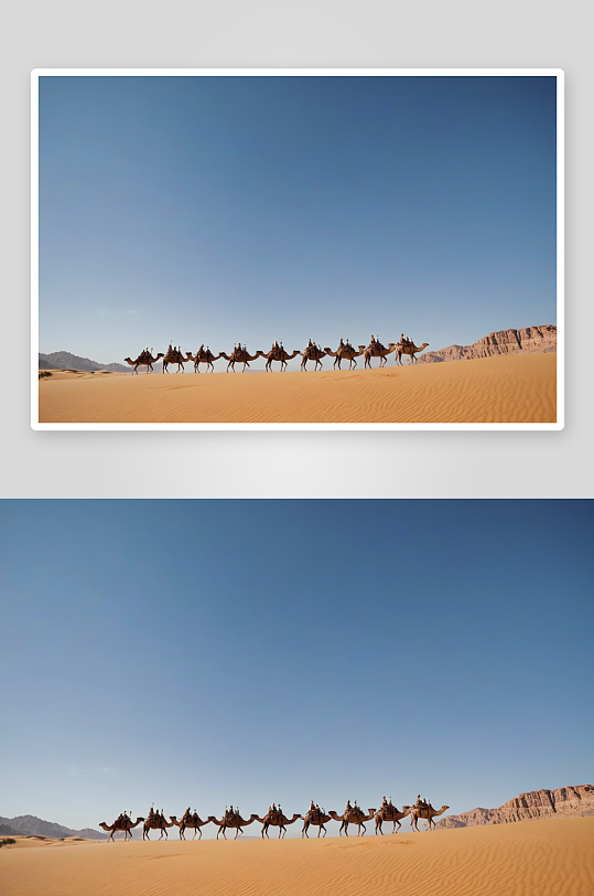 沙漠中驼队高清特写图片