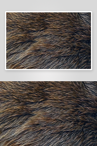灰色美丽的动物毛皮作为背景高清底纹图片