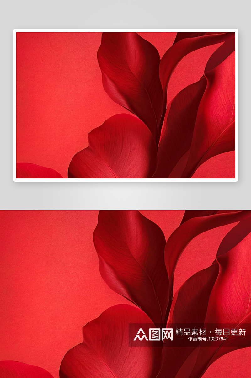 抽象艺术植物的阴影覆盖在节日的红色背景上素材
