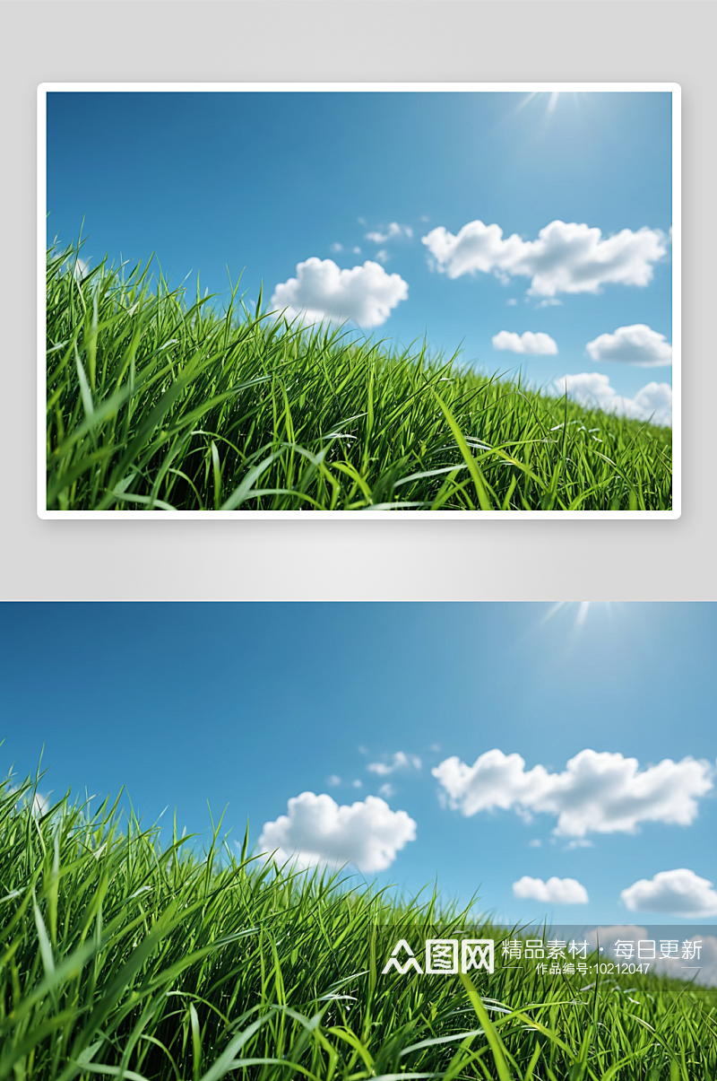 绿草蓝天自然背景高清特写图片素材