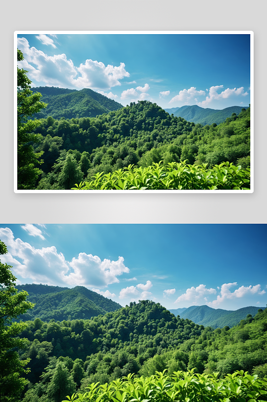 旅游背景绿色树叶山峰蓝天高清特写图片