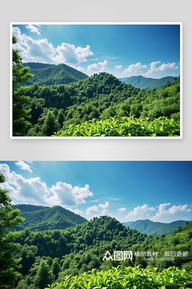 旅游背景绿色树叶山峰蓝天高清特写图片素材